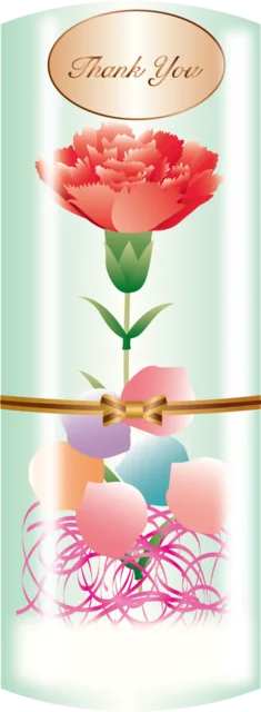 Thank You文字と一輪のカーネーションの贈り物（背景透過PNG）