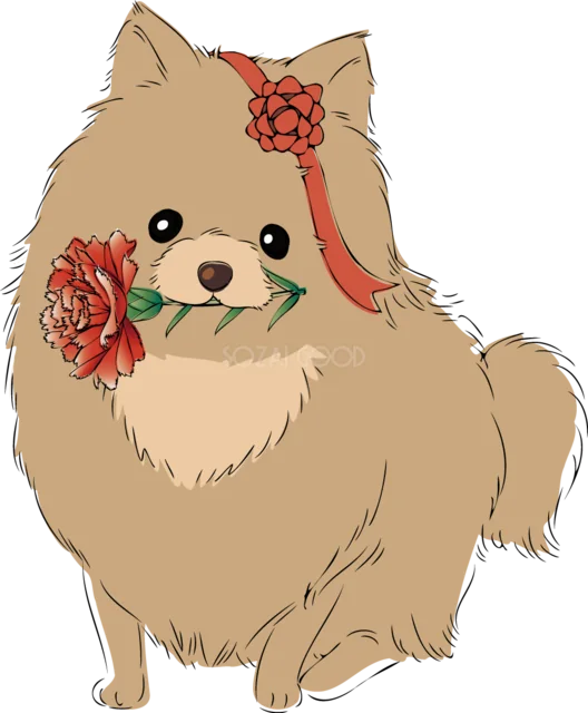 カーネーションをくわえたかわいい犬（背景透過PNG）