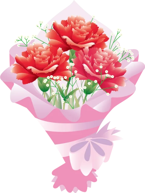 ピンクの包装紙で包んだカーネーションの花束（背景透過PNG）