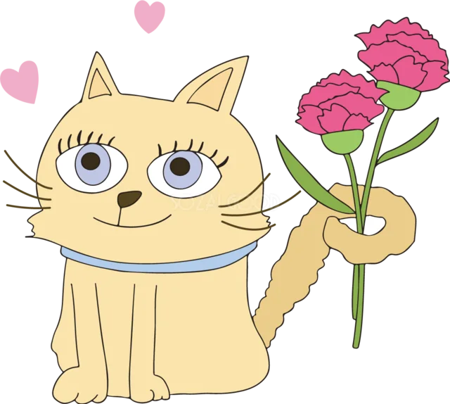 ピンクのカーネーションを一輪持つ猫（背景透過PNG）