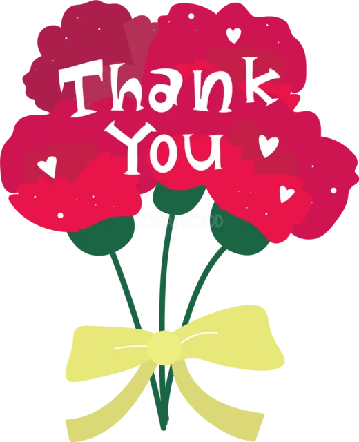 Thank You文字を入れたカーネーションの花束（背景透過PNG）
