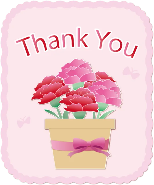 鉢植えカーネーションとThank Youの母の日カード（背景透過PNG）
