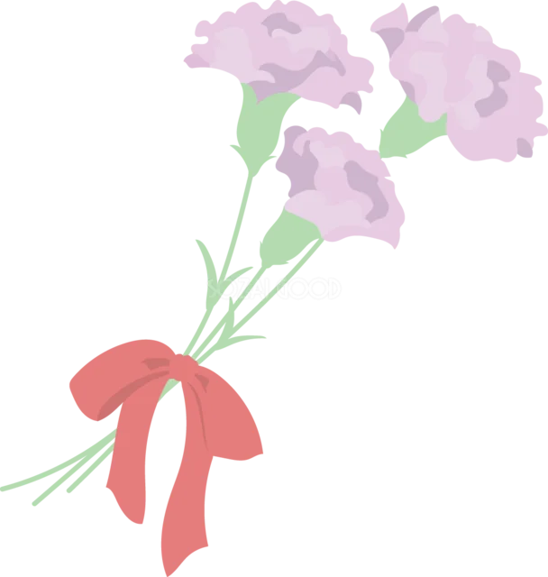 赤いリボンで束ねた淡い色のカーネーション（背景透過PNG）