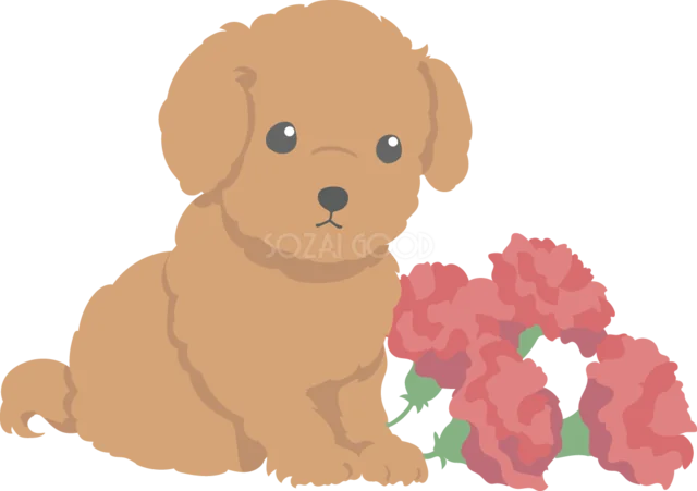 赤いカーネーションと一緒に座る茶色い子犬（背景透過PNG）