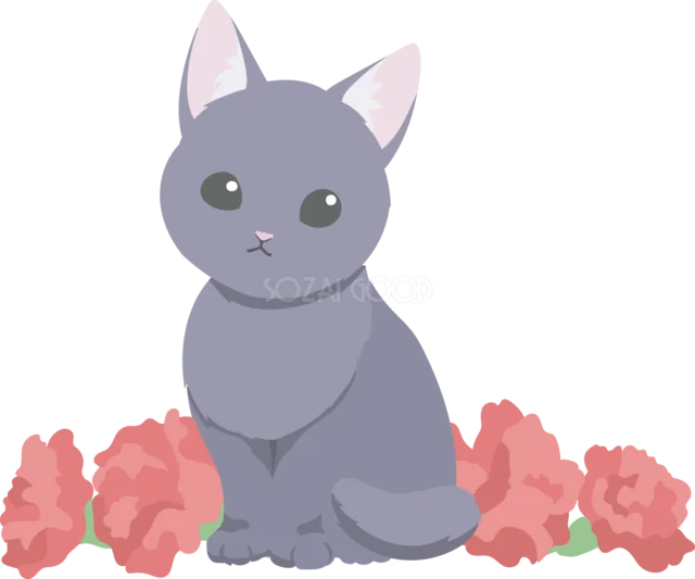カーネーションに囲まれて座るグレーの猫（背景透過PNG）