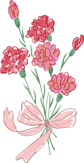 ピンクのリボンで束ねたカーネーションの花束（背景透過PNG）