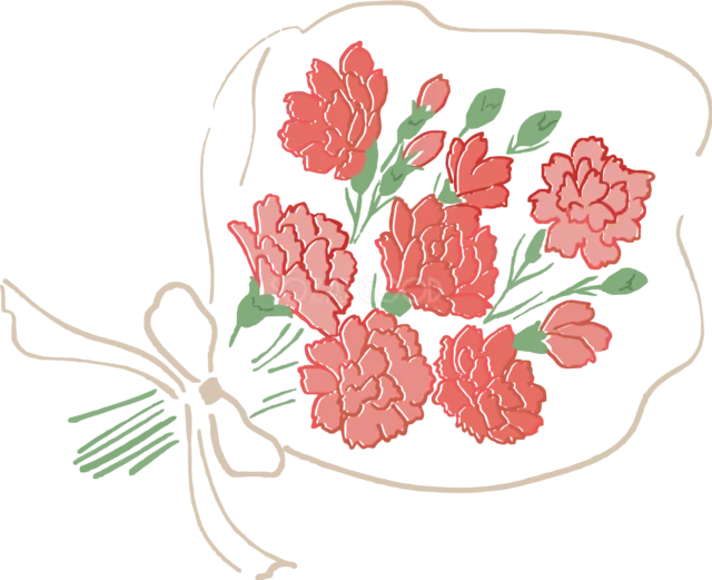 薄い包装紙で包んだ赤いカーネーションの花束（背景透過PNG）