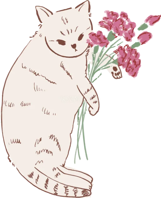 カーネーションの花束を抱える白い猫（背景透過PNG）