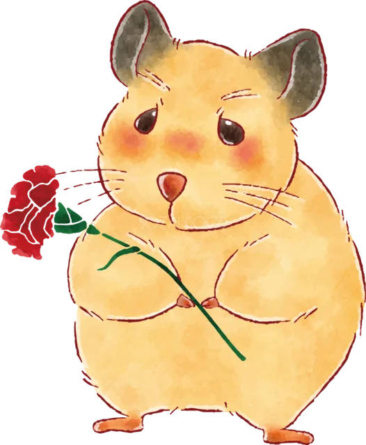 赤いカーネーションを両手で持つハムスター（背景透過PNG）