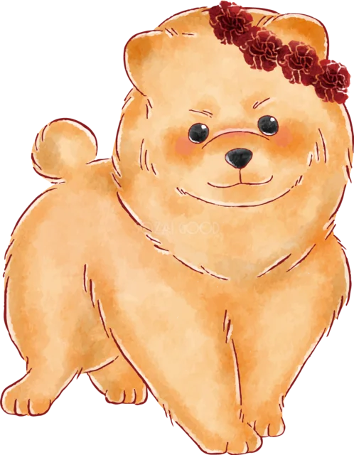 赤い花冠を付けたかわいいポメラニアン（背景透過PNG）