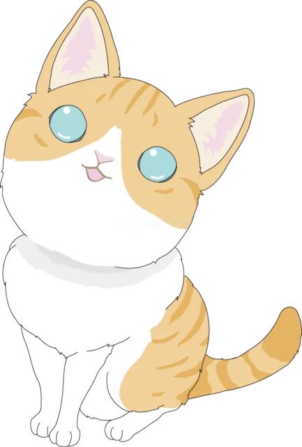 首をかしげて座る茶トラ白の子猫（背景透過PNG）