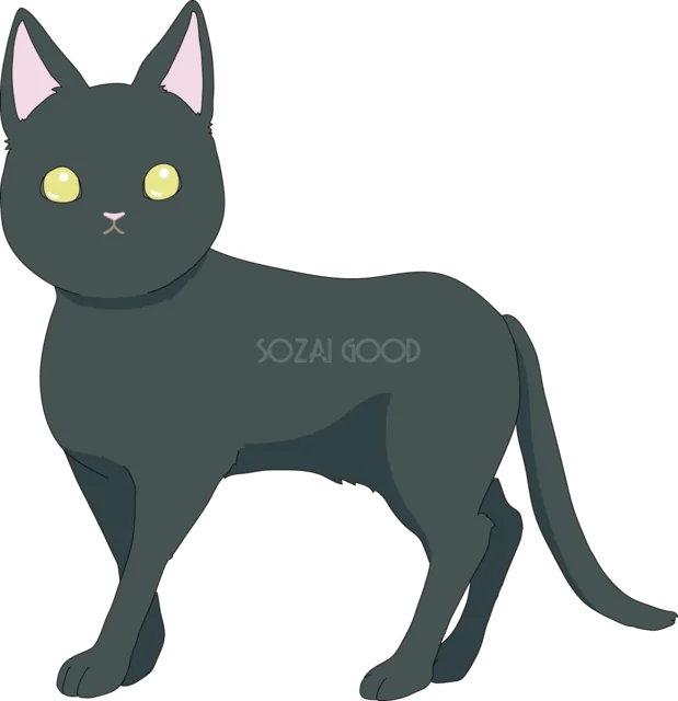 横向きに立つ黒猫（背景透過PNG）