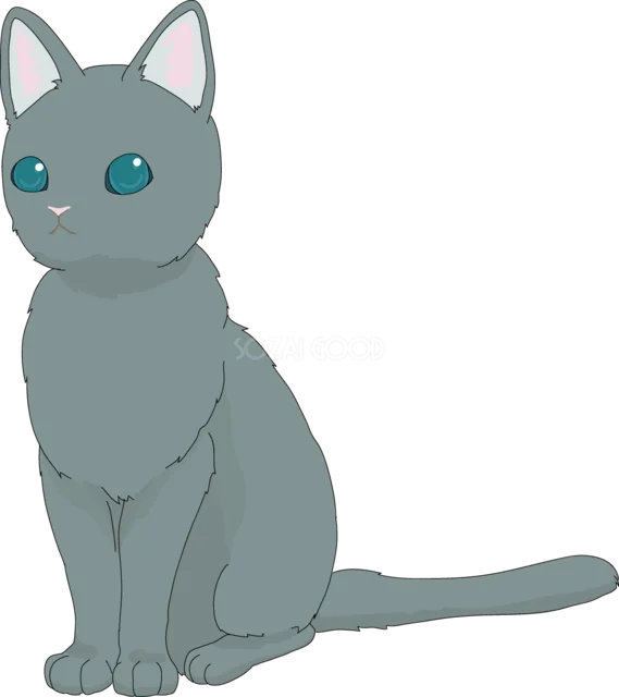 青い目で座るグレーの猫（背景透過PNG）