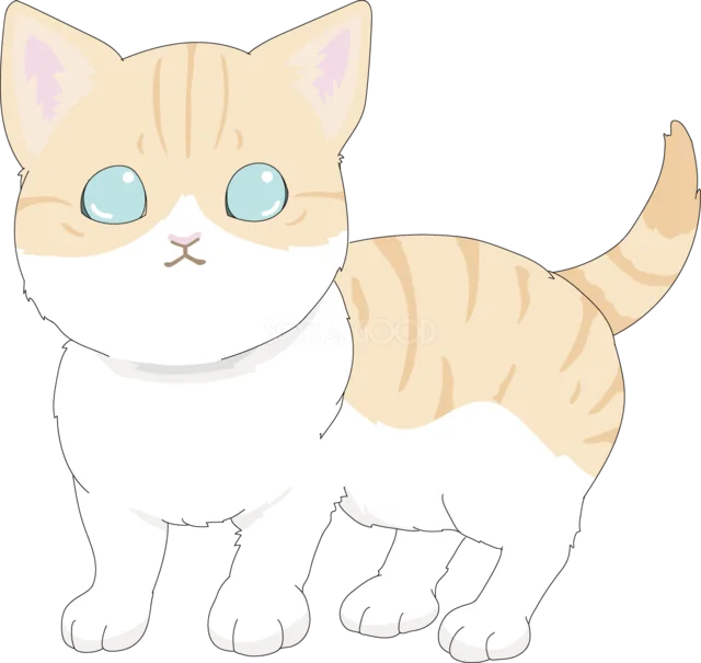 尻尾を立てて立つ茶トラ白の子猫（背景透過PNG）