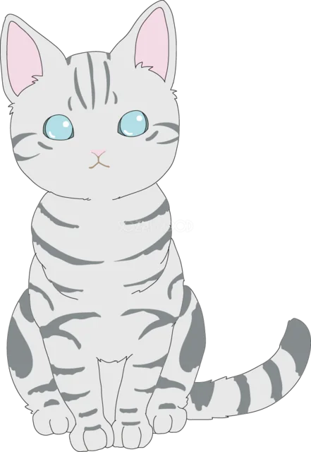 青い目で正面を向いて座るグレーのトラ猫（背景透過PNG）
