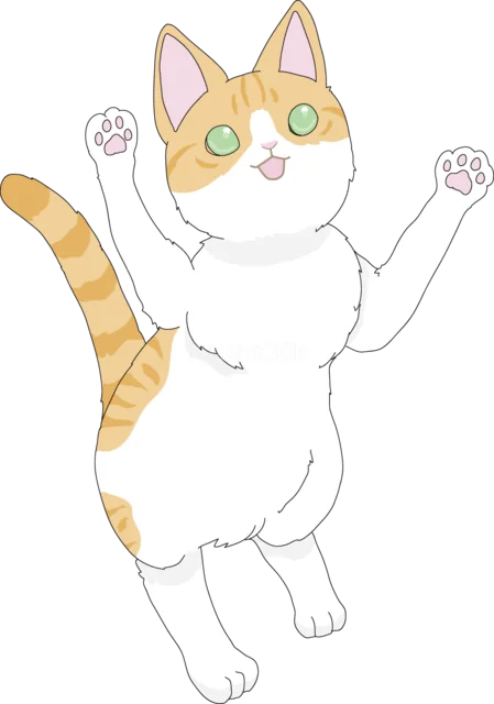 両前足を上げて立つ茶トラ白猫（背景透過PNG）
