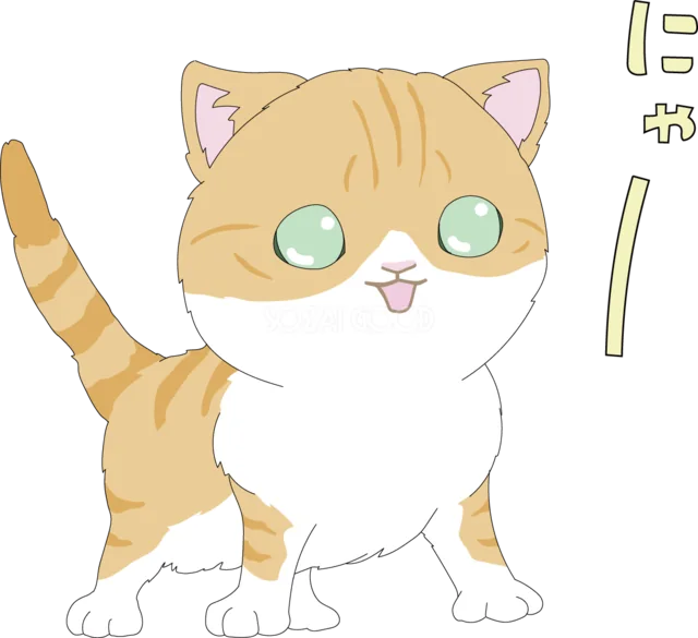 「にゃー」と鳴きながら立つ茶トラ白猫（背景透過PNG）