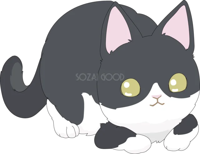 遊ぶ姿勢で身を低くする白黒の子猫（背景透過PNG）