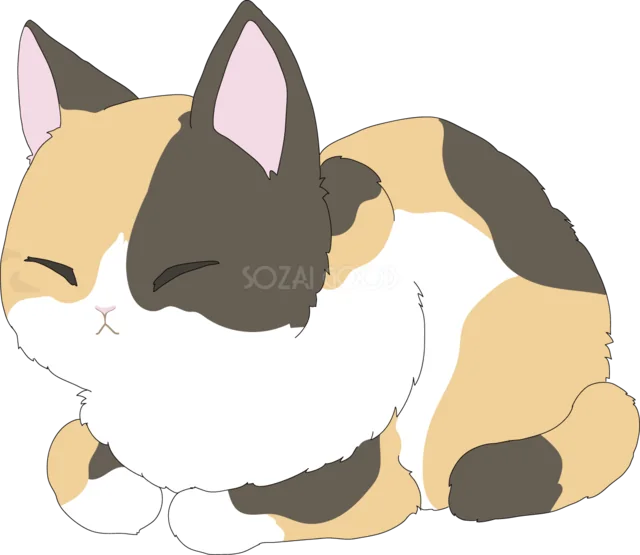 目を閉じて伏せる三毛猫（背景透過PNG）