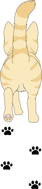 足跡を残して歩く茶トラ猫の後ろ姿（背景透過PNG）
