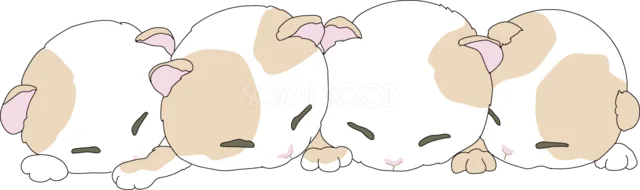 仲良く並んで眠る三毛猫の子猫4匹（背景透過PNG）