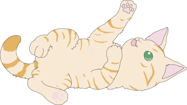 仰向けで遊ぶ茶トラ猫（背景透過PNG）