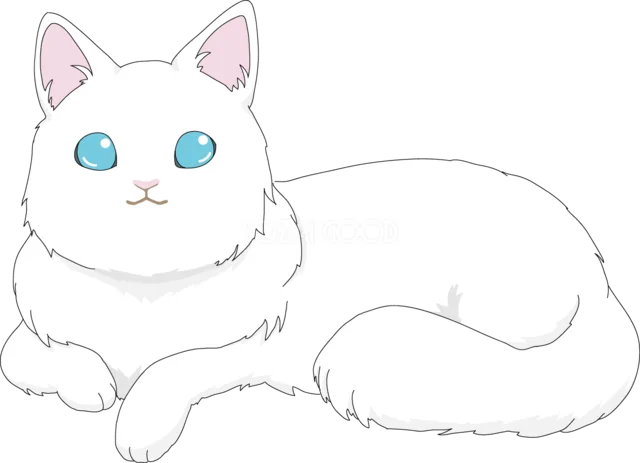 青い目で寝そべるふわふわの白猫（背景透過PNG）
