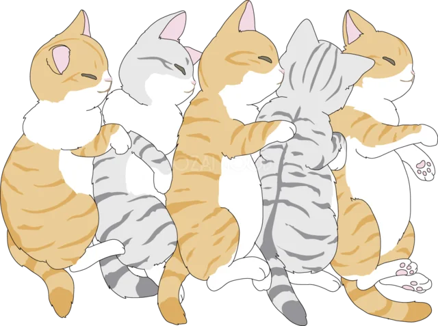 仲良く肩を組む茶トラとグレーの猫5匹（背景透過PNG）