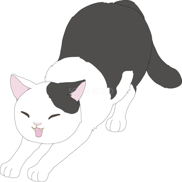 前足を伸ばしてストレッチする白黒猫（背景透過PNG）