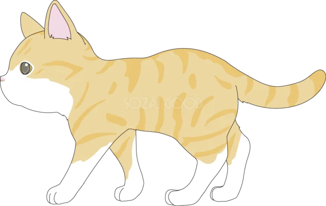 横向きに歩く茶トラ猫（背景透過PNG）