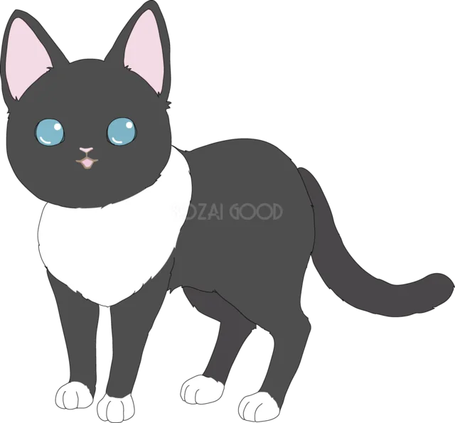 青い目で立つ白黒猫（背景透過PNG）
