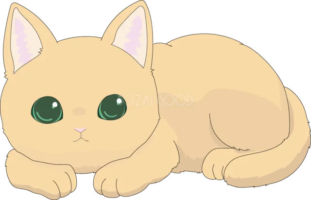緑の目で伏せる茶トラの子猫（背景透過PNG）