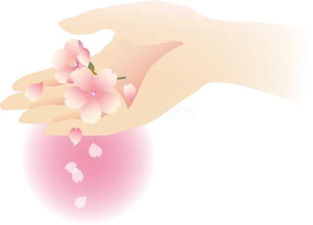 手のひらに桜の花びらを乗せる春のイラスト（背景透過PNG）