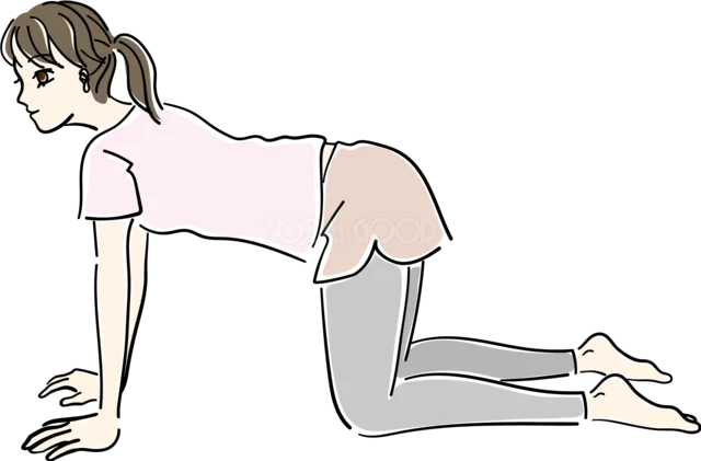 四つんばいで背中を伸ばす女性（背景透過PNG）