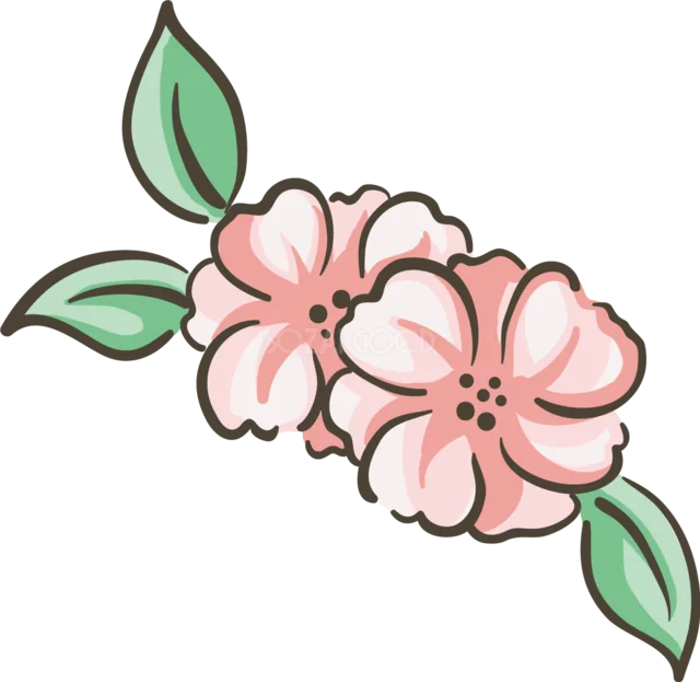 緑の葉を付けたピンクの桜の花枝（背景透過PNG）
