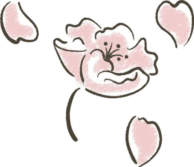花びらが舞う桜の花を線画で描いた春飾り（背景透過PNG）