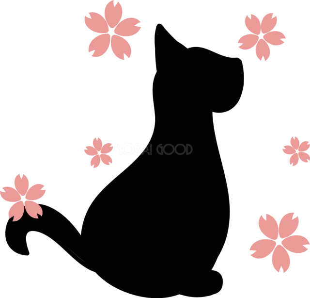 桜の花びらに囲まれて座る黒猫のシルエット（背景透過PNG）