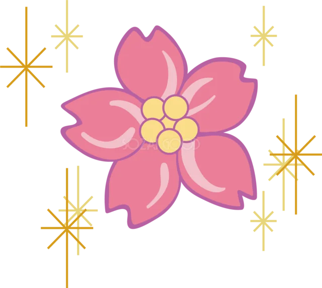 金色のきらめきを添えた大きなピンクの桜（背景透過PNG）