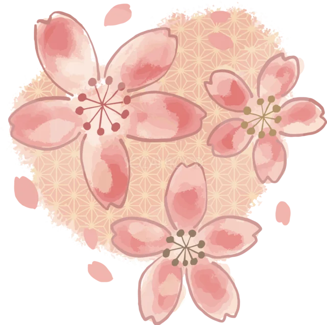 水彩風の淡い丸にピンクの桜3輪を描いた花飾り（背景透過PNG）