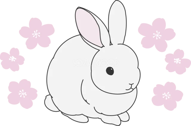 桜の花に囲まれて座る白いうさぎ（背景透過PNG）