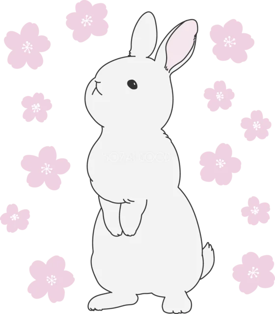 桜の花に囲まれて立つ白いうさぎ（背景透過PNG）