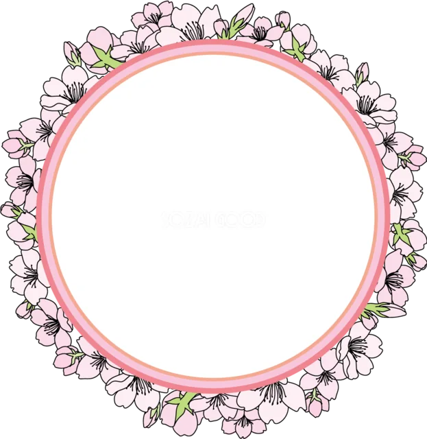 ピンクの円枠を満開の桜で囲んだ華やかな丸型フレーム（背景透過PNG）