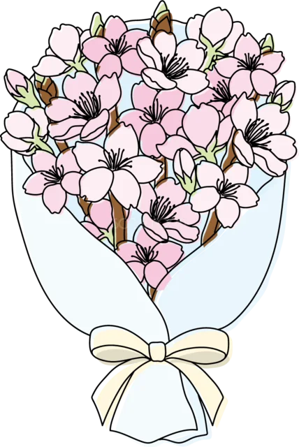 水色の包装紙で包んだ桜の花束（背景透過PNG）