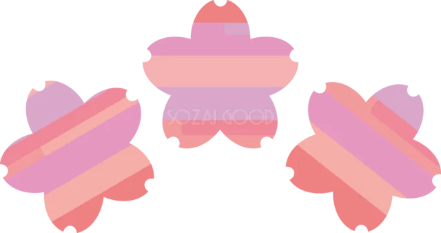 ピンクの横縞模様で描いた桜3輪（背景透過PNG）