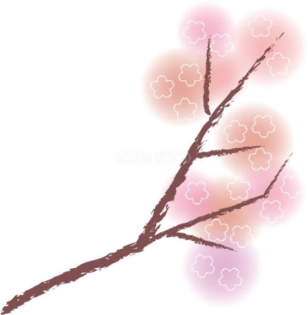 光に包まれたピンクの桜が咲く枝（背景透過PNG）