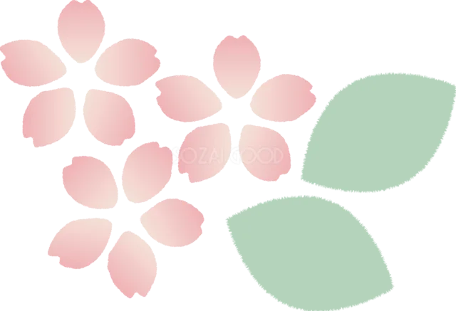 淡いピンクの花びらとミント色の葉（背景透過PNG）