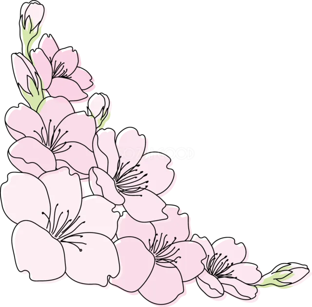 淡いピンクの桜が連なる華やかな枝イラスト（背景透過PNG）