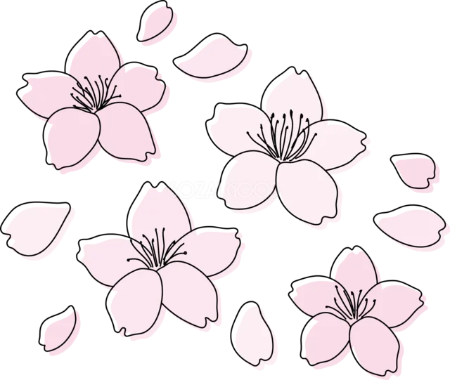 桜の花と花びらを散りばめた春イラスト（背景透過PNG）