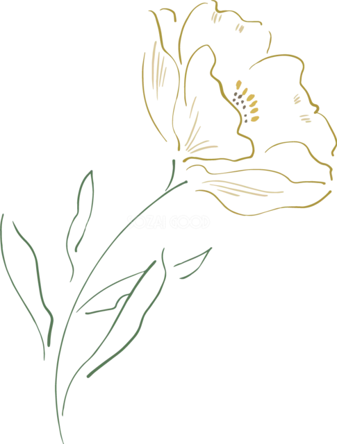 一輪の花と細い葉を淡い金色線で描いた植物イラスト（背景透過PNG）