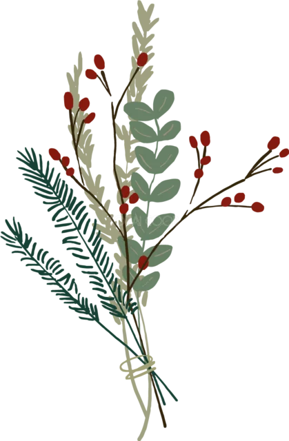赤い実と針葉樹の枝を細く束ねた冬のボタニカルイラスト（背景透過PNG）